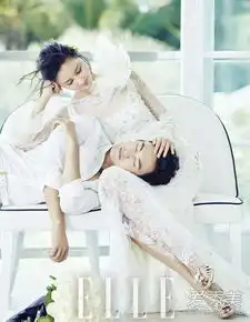 袁弘张歆艺浪漫唯美婚纱照曝光张歆艺结过几次婚
