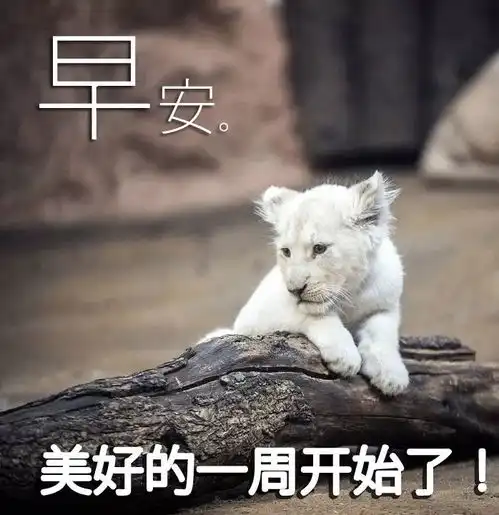 美好的一天早晨好问候语早晨好句子图片表情
