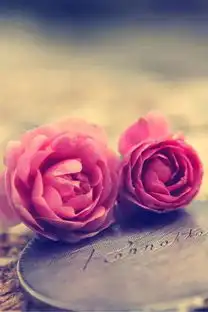 苹果7手机壁纸
