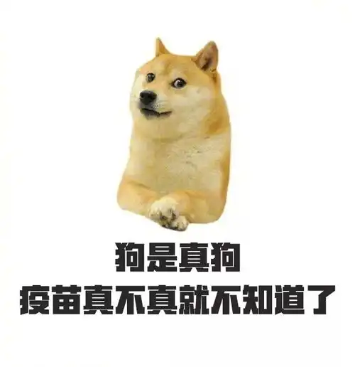 狗是真狗,请看紧汪星人遛狗牵不牵绳看看扬州人怎么说
