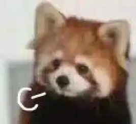 表情包这座城多了个高兴的人
