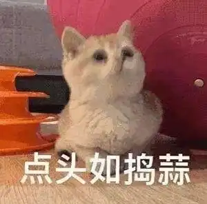 高考,不仅是你一个人在奋斗建造师老爸佛系陪考
