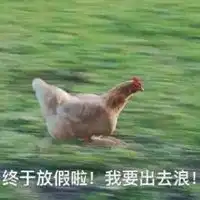 等我考完出来表情包微信头像图片大全
