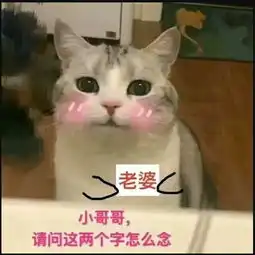 表情包脑婆,520我要写作业哼,再说一句
