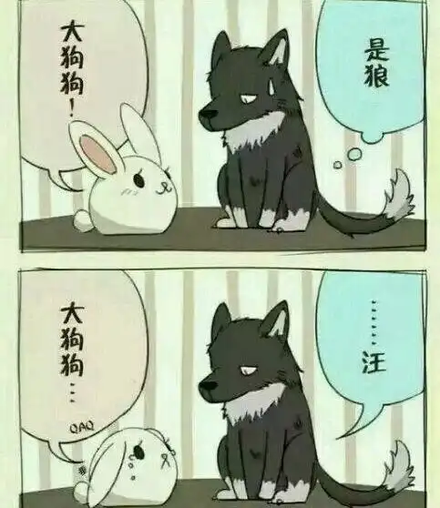十八次kswl

