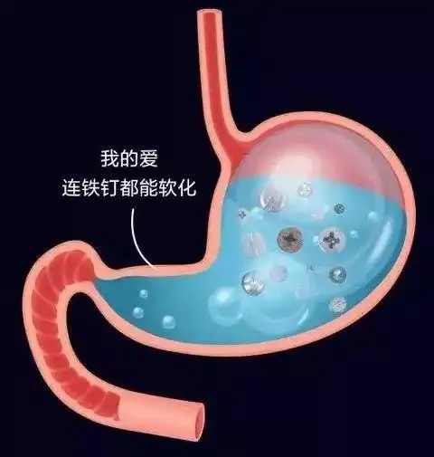 8亿人感染了幽门螺杆菌,你还不防着点
