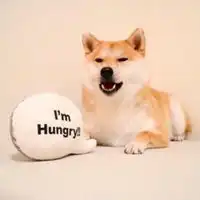 柴犬搞笑图片头像微信头像图片大全
