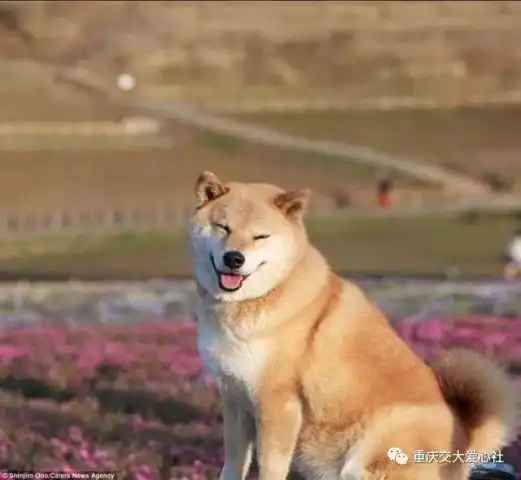 微笑是心灵之间最美的交流
