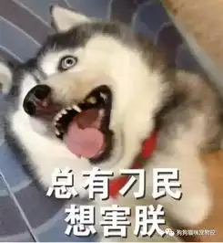 被哈士奇蠢哭,讲真,以后没事别养哈士奇
