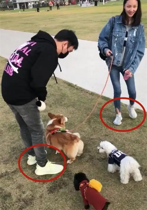王思聪和陈雅婷穿情侣鞋出门遛狗,女友素颜笑容甜美气质佳
