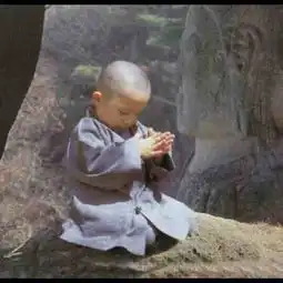 0503期虚荣女怂恿男友去打架
