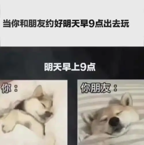 男生和基友是怎么聊天的哈哈哈男男才是真爱
