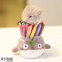 龙猫萌照融化网友

