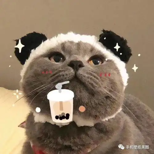 2020最近比较火的qq头像,你值得拥有
