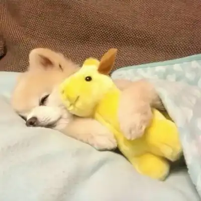 萌娃头像

