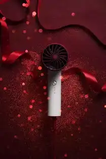 情人节送礼5分钟速干不伤发这款百元负离子吹风机雷军用了都说好
