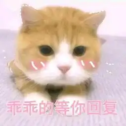 和对象的甜甜表情包
