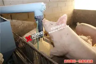 兴达牧机更注重品质多图福建养猪喂料车高清图片高清大图
