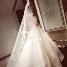 韩式抹胸婚纱2016冬季新款新娘结婚修身简约奢华婚纱
