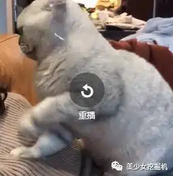 和胡一天拍情侣照的网红因为一条剪刘海视频爆火,承认变脸又和王源扯上了关系
