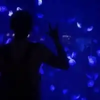 我爱你,不是说说而是一个承诺
