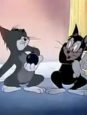 猫和老鼠搞笑动画
