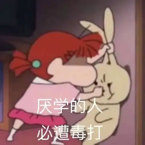 继考研头像后,考研人的专属表情包来啦
