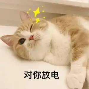 处女座女生和射手座男生在一起合适吗
