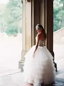 sarehnouri2014婚纱礼服设计二
