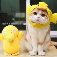 2019微信头像萌萌哒微信头像图片大全
