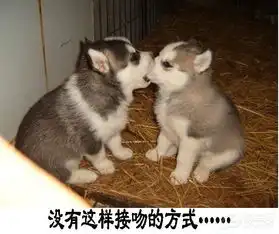 上海论坛图片集锦

