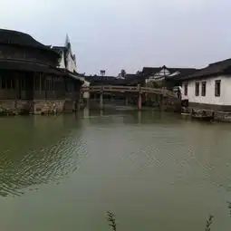 迟到的毕业旅行和好朋友上海乌镇五天四夜
