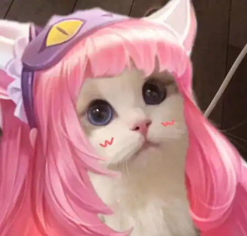 王者荣耀情侣猫咪头像

