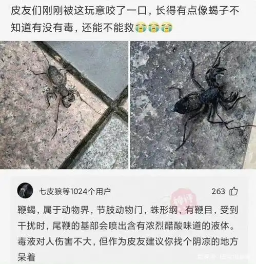 网友神评论在度来袭,看看那个笑到你了
