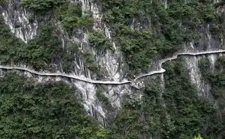 温暖一冬收藏夹
