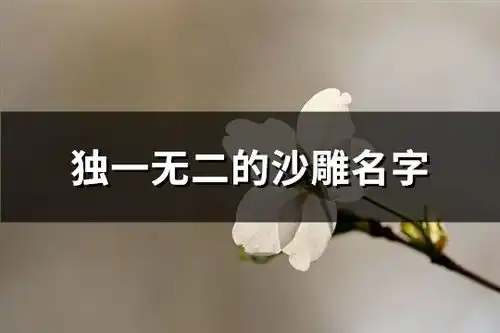 独一无二的沙雕名字精选184个
