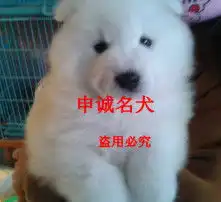 黄页88高清图片
