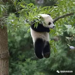 我感觉我已经拥有了全世界
