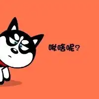 二哈情侣头像哈士奇微信头像图片大全
