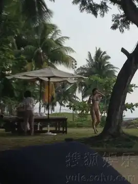 高虎揽比基尼美女度假照曝光出双入对动作亲昵
