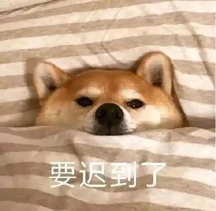 1个10个衣架,晾晒收纳分类一物三用,生活有它居然这么爽
