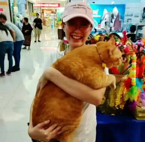 女子抱着橘猫去逛商场,路上一直被人围观,低头一看,瞬间明白了
