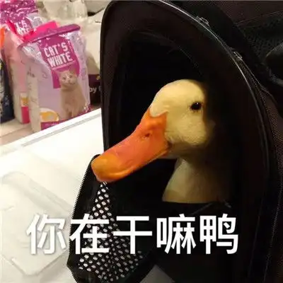 2019最新整理微信万能表情包
