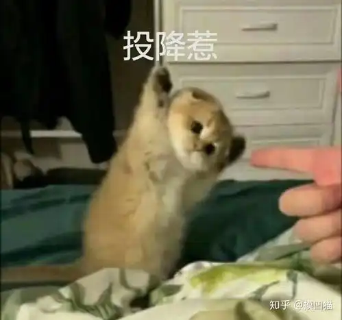 青2颜值前十,谢可寅她不香吗
