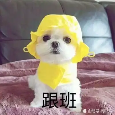 仙女专用的qq自动回复,个个都是秀儿,网友设置完毕
