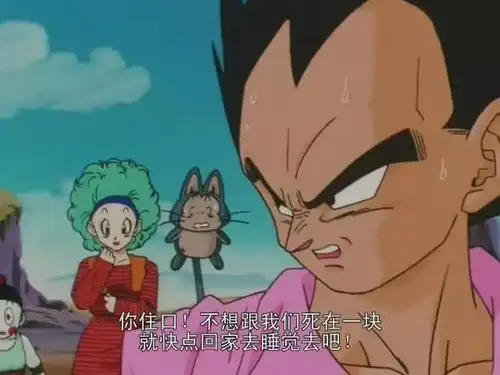 女生喜欢贝吉塔,男生喜欢比克短笛你怎么看这句话
