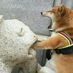 沙雕头像要好好奋斗才是,不然除了美貌一无所有
