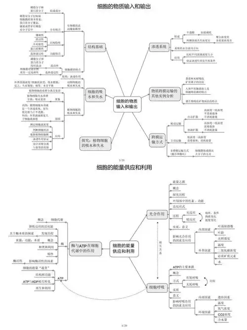 24张高中生物思维导图,轻轻松松拿下细小知识点
