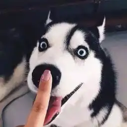 特别的日子致敬特别的你
