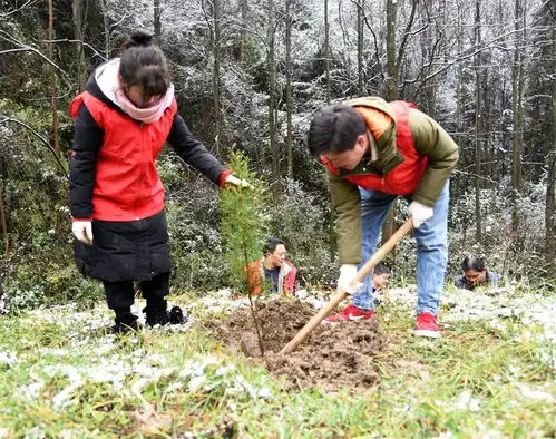 黔西市铁石乡节后上班第一天植树添新绿
